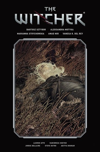 Witcher, the - Omnibus 2 - Volume Two