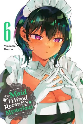 Maid I Hired Recently is Mysterious, the 6 - Volume 6