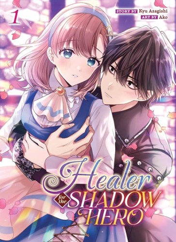 Healer for the shadow Hero 1 - Volume 1