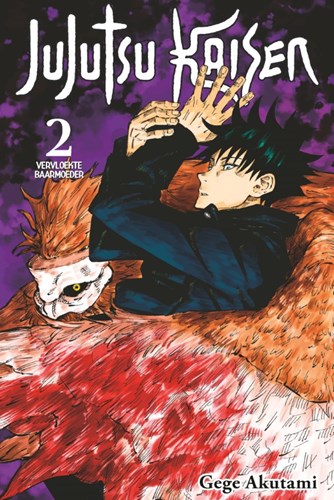Jujutsu Kaisen [NL] 2 - Vervloekte baarmoeder