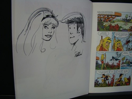Arad en Maya 7