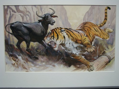 Tijger en Stier:Wow