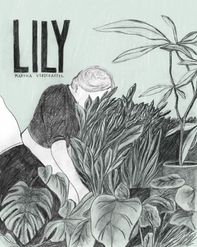 Martha Verschaffel  - Lily, Softcover (Bries)