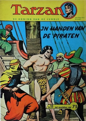 Tarzan - Koning van de Jungle 11 - In handen van de piraten, Softcover (Metropolis)