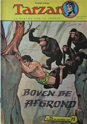 Tarzan - Koning van de Jungle 25 - Boven de afgrond, Softcover (Metropolis)