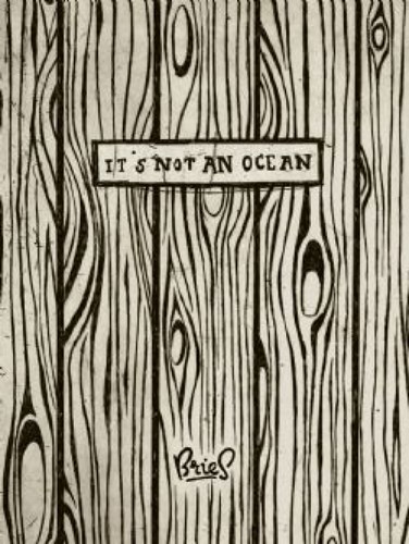 Geert Ooms  - It's not an ocean, Softcover (Bries)
