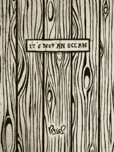 Geert Ooms  - It's Not an Ocean, Softcover (Bries)