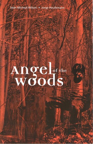 Seán Micheal Wilson - diversen  - Angel of the Woods, Softcover (Boychild productions)