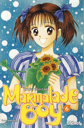 Marmalade Boy (NL) 6 - Deel 6, Softcover (Glénat)