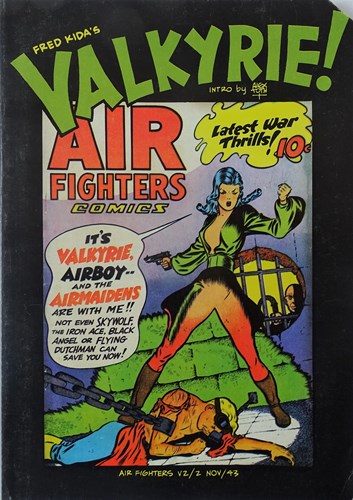 Valkyrie  - Air fighters, Softcover (Ken Pierce)