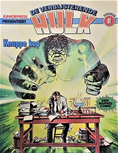 Verbijsterende Hulk, de - Albums 11 - Knappe kop, Softcover (Juniorpress)